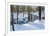 Lets Grab a Drink-Bruce Dumas-Framed Giclee Print