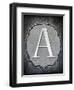 Letter A-LightBoxJournal-Framed Giclee Print