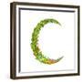 Letter C Floral Latin Decorative Character Alphabet Lettering Sign. Colorful Hand Drawn Blooming Fl-Popmarleo-Framed Premium Giclee Print