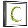 Letter C Floral Latin Decorative Character Alphabet Lettering Sign. Colorful Hand Drawn Blooming Fl-Popmarleo-Framed Premium Giclee Print