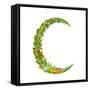 Letter C Floral Latin Decorative Character Alphabet Lettering Sign. Colorful Hand Drawn Blooming Fl-Popmarleo-Framed Stretched Canvas