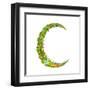 Letter C Floral Latin Decorative Character Alphabet Lettering Sign. Colorful Hand Drawn Blooming Fl-Popmarleo-Framed Art Print