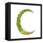 Letter C Floral Latin Decorative Character Alphabet Lettering Sign. Colorful Hand Drawn Blooming Fl-Popmarleo-Framed Stretched Canvas