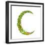 Letter C Floral Latin Decorative Character Alphabet Lettering Sign. Colorful Hand Drawn Blooming Fl-Popmarleo-Framed Art Print