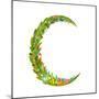 Letter C Floral Latin Decorative Character Alphabet Lettering Sign. Colorful Hand Drawn Blooming Fl-Popmarleo-Mounted Art Print