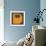 Letter D Yellow-NaxArt-Framed Premium Giclee Print displayed on a wall