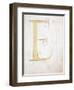 Letter E, Alphabet-null-Framed Premium Giclee Print