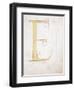 Letter E, Alphabet-null-Framed Premium Giclee Print