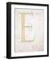 Letter E, Alphabet-null-Framed Giclee Print