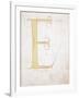 Letter E, Alphabet-null-Framed Giclee Print