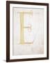 Letter E, Alphabet-null-Framed Giclee Print