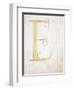 Letter E, Alphabet-null-Framed Giclee Print