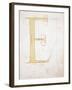 Letter E, Alphabet-null-Framed Giclee Print