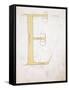 Letter E, Alphabet-null-Framed Stretched Canvas