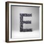 Letter E-badboo-Framed Art Print