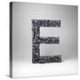 Letter E-badboo-Stretched Canvas