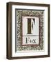 Letter F: Fox. Gold Letter With Decorative Border-null-Framed Giclee Print