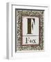 Letter F: Fox. Gold Letter With Decorative Border-null-Framed Giclee Print