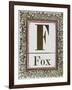 Letter F: Fox. Gold Letter With Decorative Border-null-Framed Giclee Print