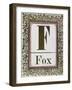 Letter F: Fox. Gold Letter With Decorative Border-null-Framed Giclee Print