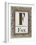 Letter F: Fox. Gold Letter With Decorative Border-null-Framed Giclee Print