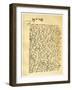 Letter from Lady Jane Grey to William Parr, 10th July 1553-Jane, Lady Grey-Framed Giclee Print