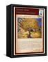Letter from Vincent: The Mulberry Tree-Vincent van Gogh-Framed Stretched Canvas