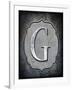 Letter G-LightBoxJournal-Framed Giclee Print