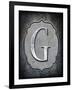 Letter G-LightBoxJournal-Framed Giclee Print