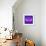 Letter M Purple-NaxArt-Framed Art Print displayed on a wall