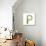 Letter P Floral Latin Decorative Character Alphabet Lettering Sign. Colorful Hand Drawn Blooming Fl-Popmarleo-Stretched Canvas displayed on a wall