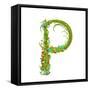 Letter P Floral Latin Decorative Character Alphabet Lettering Sign. Colorful Hand Drawn Blooming Fl-Popmarleo-Framed Stretched Canvas