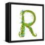 Letter R Floral Latin Decorative Character Alphabet Lettering Sign. Colorful Hand Drawn Blooming Fl-Popmarleo-Framed Stretched Canvas