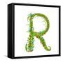Letter R Floral Latin Decorative Character Alphabet Lettering Sign. Colorful Hand Drawn Blooming Fl-Popmarleo-Framed Stretched Canvas