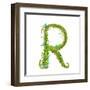 Letter R Floral Latin Decorative Character Alphabet Lettering Sign. Colorful Hand Drawn Blooming Fl-Popmarleo-Framed Art Print