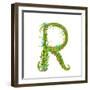 Letter R Floral Latin Decorative Character Alphabet Lettering Sign. Colorful Hand Drawn Blooming Fl-Popmarleo-Framed Art Print