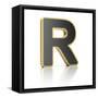 Letter R-badboo-Framed Stretched Canvas