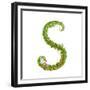 Letter S Floral Latin Decorative Character Alphabet Lettering Sign. Colorful Hand Drawn Blooming Fl-Popmarleo-Framed Premium Giclee Print