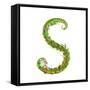 Letter S Floral Latin Decorative Character Alphabet Lettering Sign. Colorful Hand Drawn Blooming Fl-Popmarleo-Framed Stretched Canvas