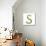 Letter S Floral Latin Decorative Character Alphabet Lettering Sign. Colorful Hand Drawn Blooming Fl-Popmarleo-Stretched Canvas displayed on a wall