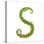 Letter S Floral Latin Decorative Character Alphabet Lettering Sign. Colorful Hand Drawn Blooming Fl-Popmarleo-Stretched Canvas