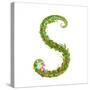 Letter S Floral Latin Decorative Character Alphabet Lettering Sign. Colorful Hand Drawn Blooming Fl-Popmarleo-Stretched Canvas