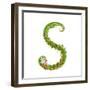 Letter S Floral Latin Decorative Character Alphabet Lettering Sign. Colorful Hand Drawn Blooming Fl-Popmarleo-Framed Art Print