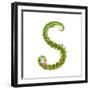 Letter S Floral Latin Decorative Character Alphabet Lettering Sign. Colorful Hand Drawn Blooming Fl-Popmarleo-Framed Art Print