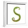 Letter S Floral Latin Decorative Character Alphabet Lettering Sign. Colorful Hand Drawn Blooming Fl-Popmarleo-Framed Art Print