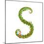 Letter S Floral Latin Decorative Character Alphabet Lettering Sign. Colorful Hand Drawn Blooming Fl-Popmarleo-Mounted Art Print