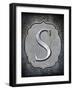 Letter S-LightBoxJournal-Framed Giclee Print