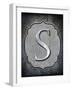 Letter S-LightBoxJournal-Framed Giclee Print