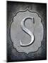 Letter S-LightBoxJournal-Mounted Giclee Print