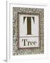 Letter T: Tree. Gold Letter With Decorative Border-null-Framed Giclee Print